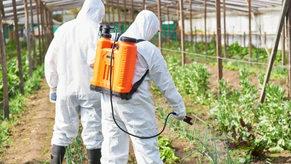 PPE should always be worn when using hazardous chemicals.